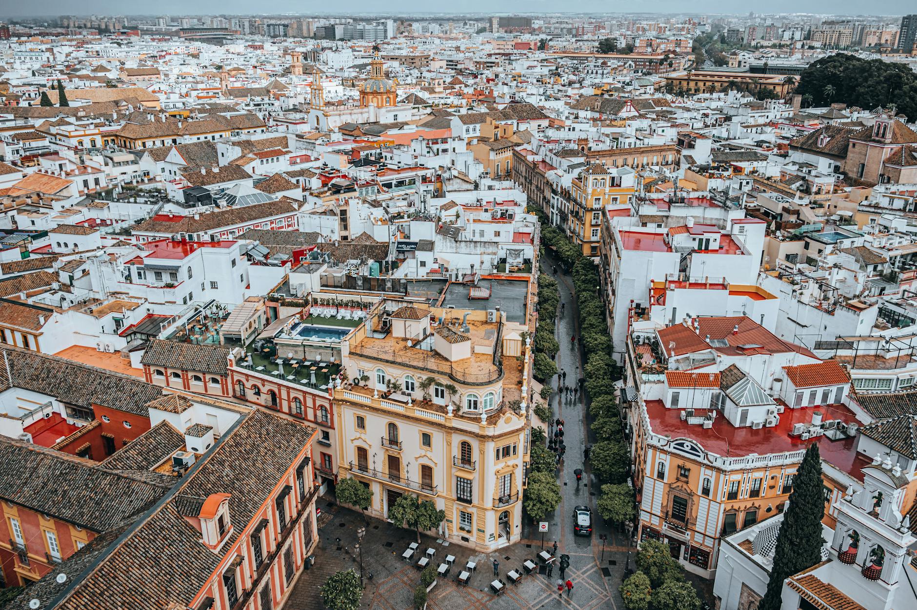A seville taberna in santa cruz — photo by Zekai Zhu via Pexels