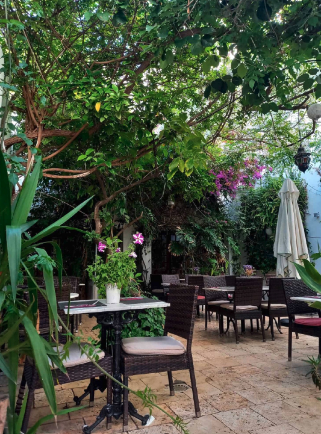 El Naranjo Santa Eulària: A Restaurant Worth Returning To