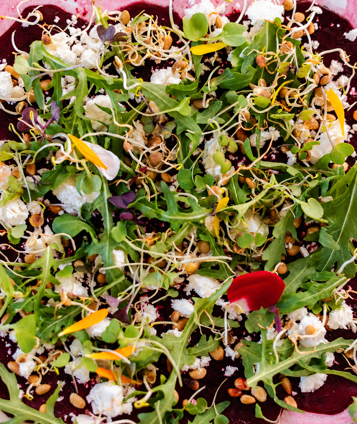 Beetroot carpaccio with pine nuts, sprouts and fresh toppings at Jungle Bistro in Ibiza.