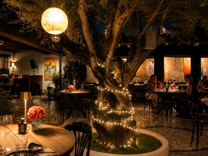 Best Japanese Restaurant in Santa Eulària, Ibiza: NAGAI